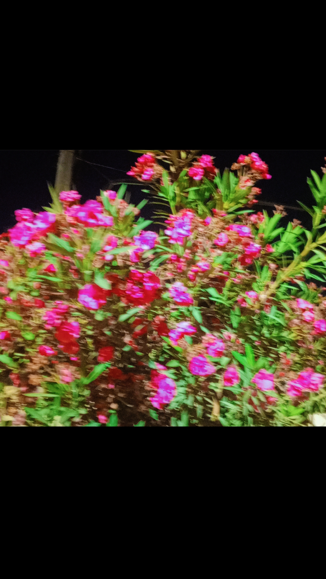 Narjes Awad_TeqRF