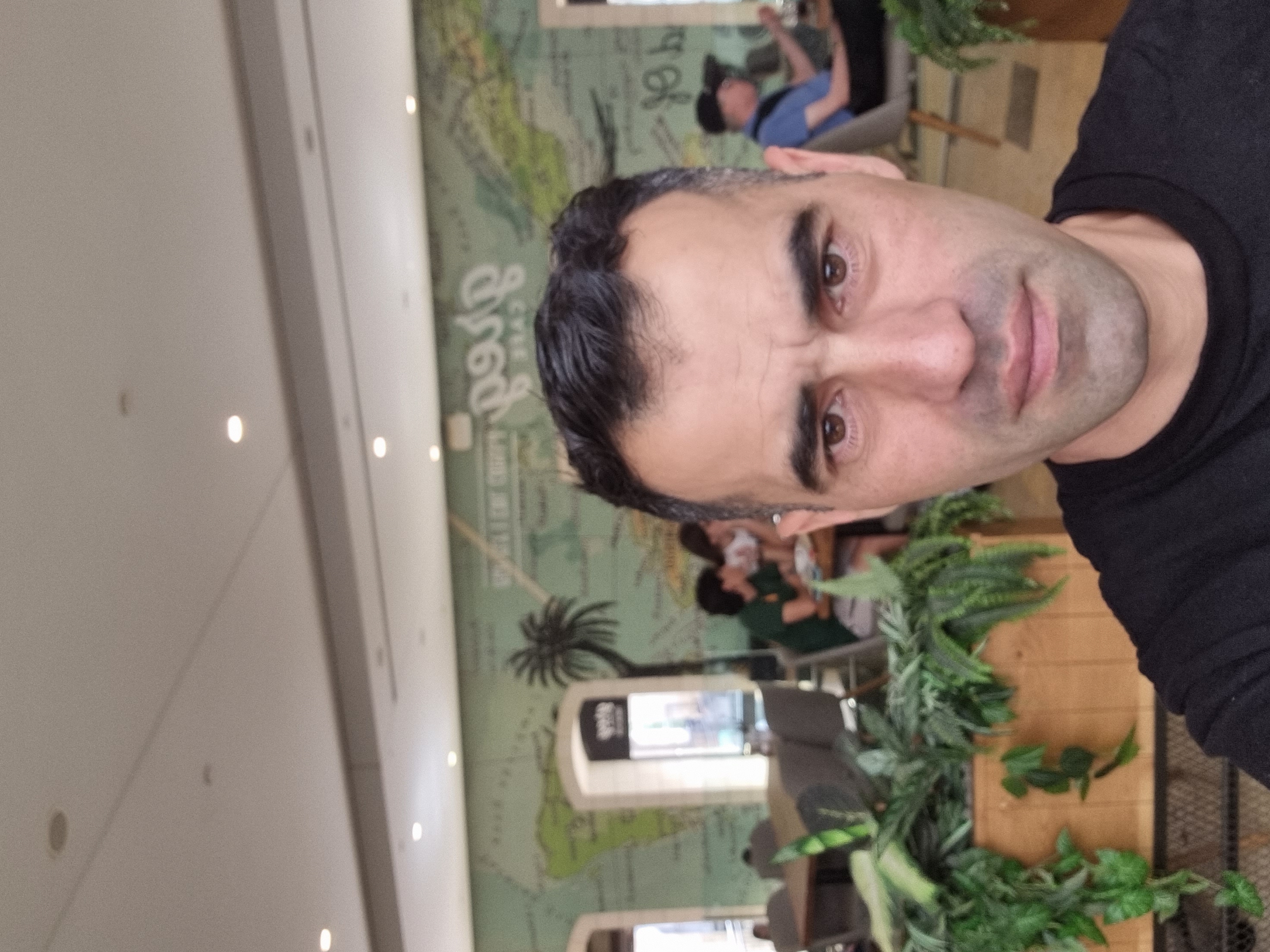 ���� ����